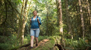 Walking for health: forest walk